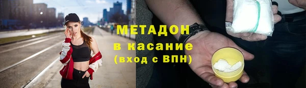 хмурый Аркадак