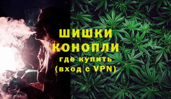 хмурый Аркадак