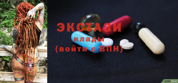 хмурый Аркадак