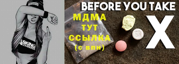 хмурый Аркадак